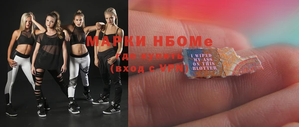 индика Волоколамск