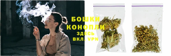 индика Волоколамск