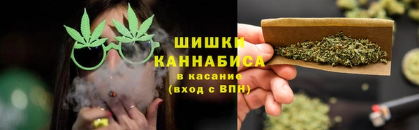 СК Вязьма