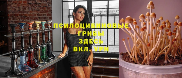 дживик Вязники