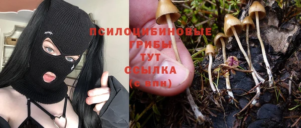 ПСИЛОЦИБИНОВЫЕ ГРИБЫ Володарск