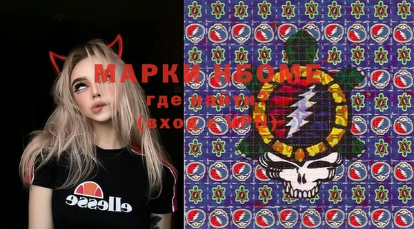 индика Волоколамск