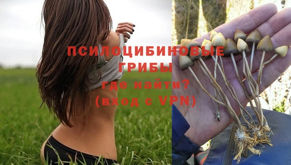 индика Волоколамск