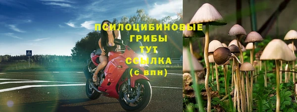 СК Вязьма