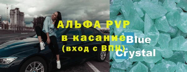 СК Вязьма